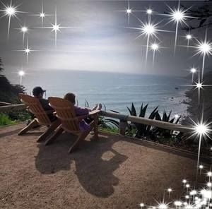 Meet your Posher, Shelly